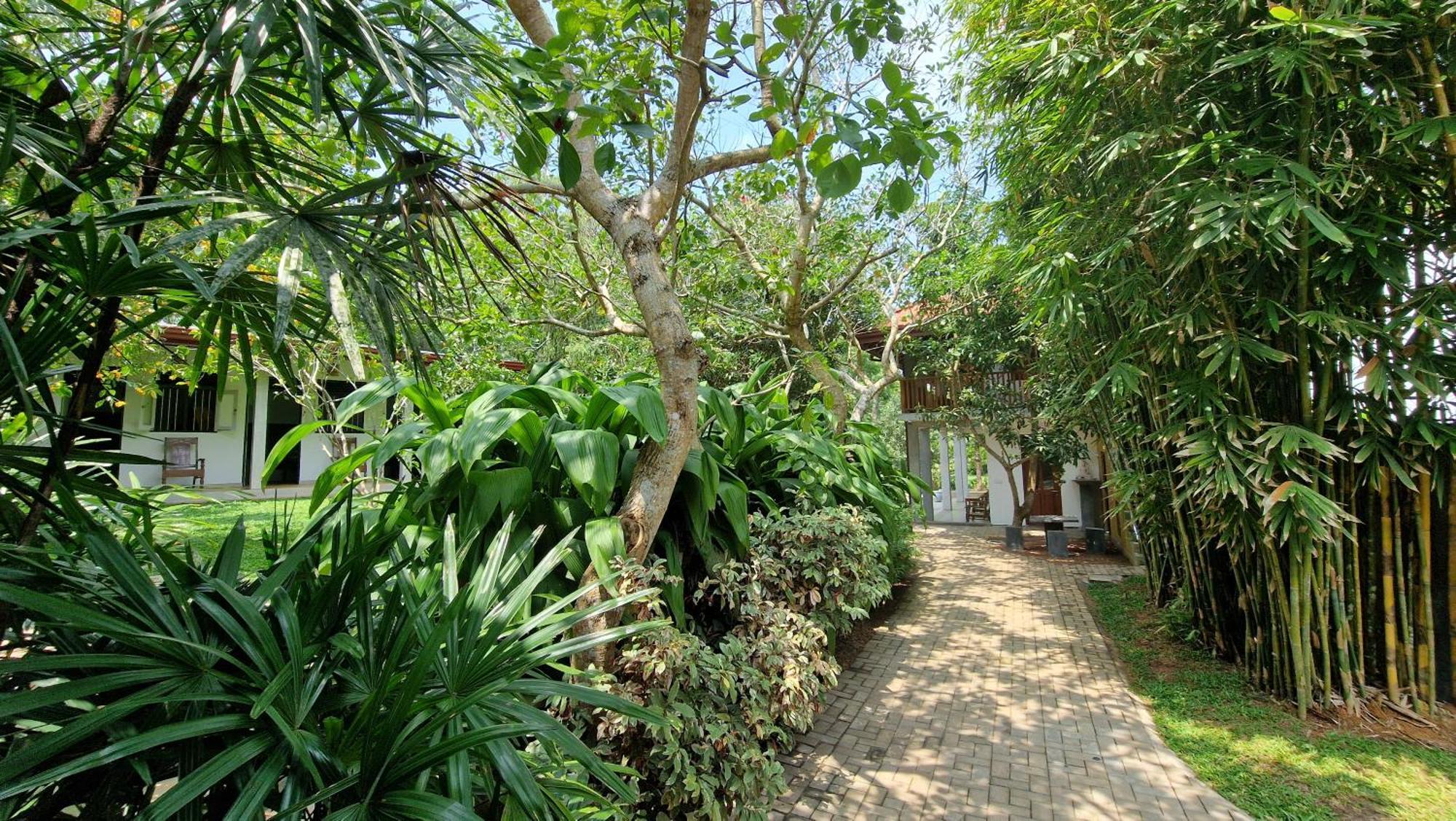 Villa Arana 本托塔 外观 照片