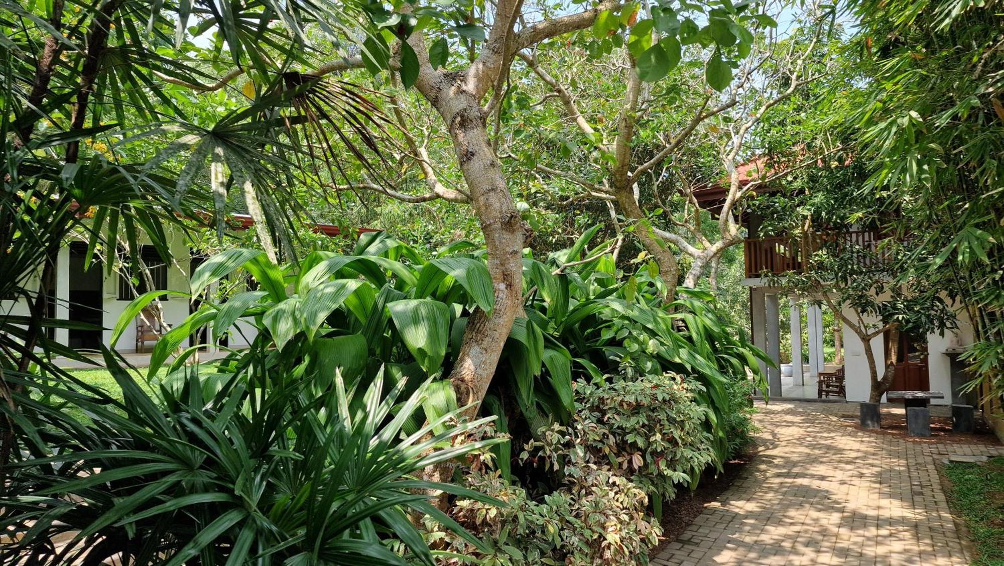 Villa Arana 本托塔 外观 照片